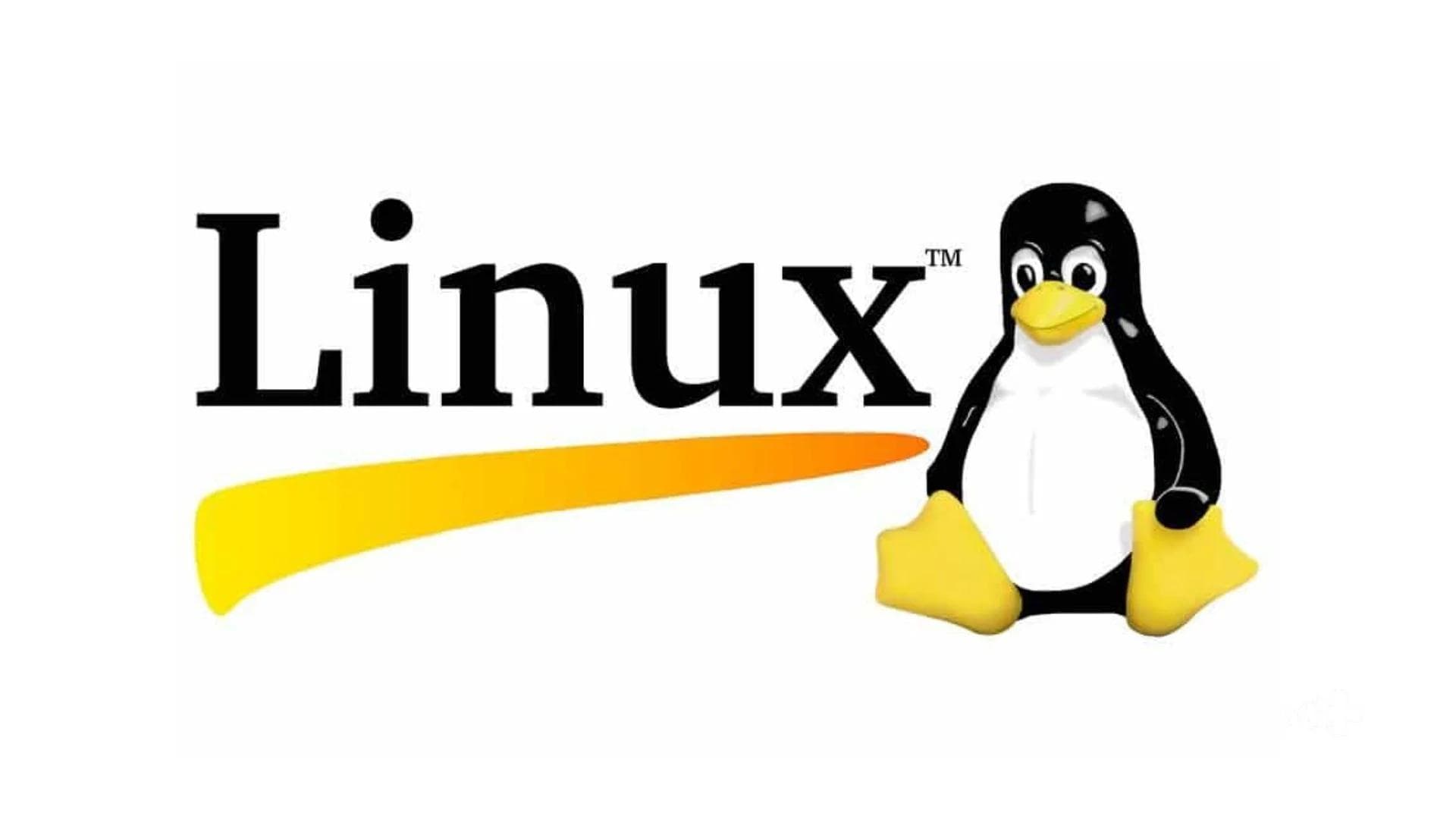 O que é Linux? Entenda a importância dos sistemas operacionais de código aberto